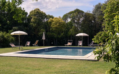 Accommodatie:&nbsp;Pini