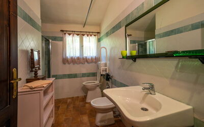Accommodatie:&nbsp;Pini