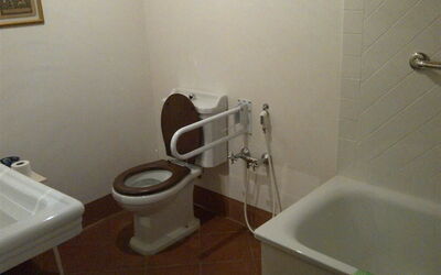 Generous spaces around the WC, a small shower and a solid metal handle next to it, make the bathroom easy to use for people with disabilities