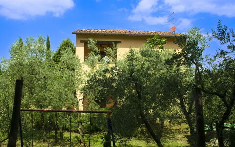 Collina dei Fiori: Boom, Blad, Vegetation, Struik, Land Lot, Huis, Landelijk Gebied, De Lente, Verblijf, Tuin