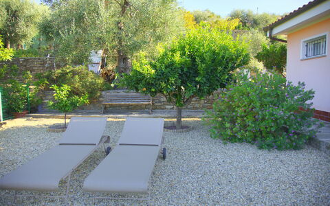 Casa Ilaria - Diano Marina: Eigendom, Vegetation, Werf, Tuin, Onroerend Goed, Backyard, Huis, Boom, Plantkunde, Landschap