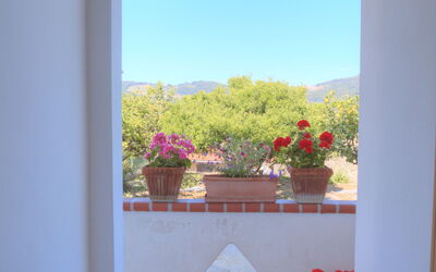 Accommodatie:&nbsp;Flowers Of Andora - Rose