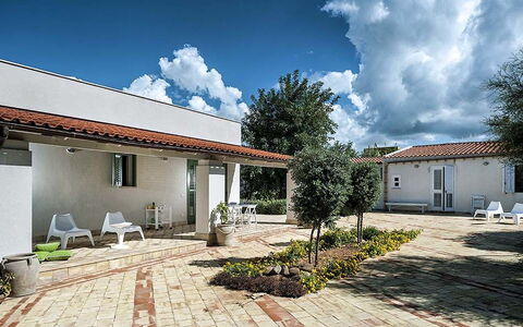 Bianca: Struik, Woongebied, Huis, Land Lot, Schaduw, Landgoed, Verblijf, Tuin, Landscaping, Werf