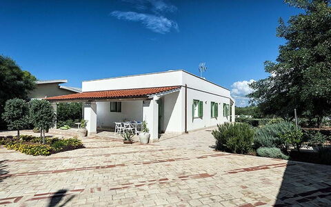 Bianca: Struik, Woongebied, Huis, Dak, Groundcover, Tuin, Schaduw, Landgoed, Landscaping