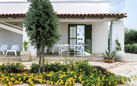 Bianca: Struik, Tuin, Schaduw, Bloempot, Landscaping, Werf, Kamerplant, Binnenplaats, Backyard