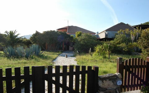 Accommodatie:&nbsp;Nodu Pianu Bilo