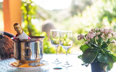 Accommodatie:&nbsp;Residence Villa Smeralda 6