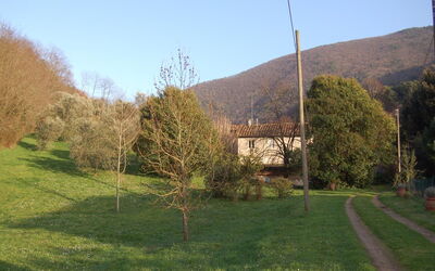 Al Laino