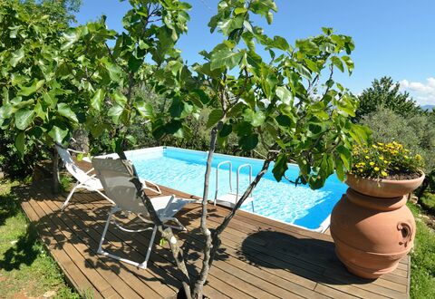 Bettina!: Eigendom, Boom, Fabriek, Onroerend Goed, Vrije Tijd, Vakantie, Huis, Zwembad, Bloem, Landgoed