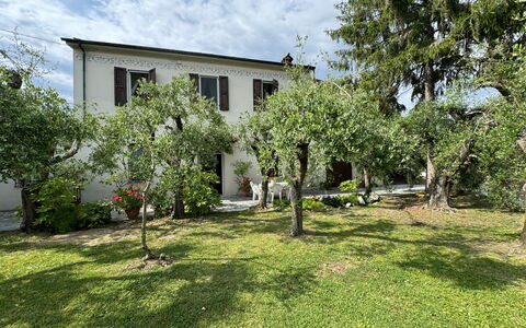 Casa Romana: Huis, Struik, Woongebied, Tuin, Huis, Gazon, Backyard, Werf, Landgoed