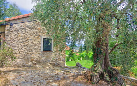 Country Home Il Passatempo: Boom, Eigendom, Huis, Muur, Onroerend Goed, Verblijf, Woody Plant, Fabriek, Land Lot, Landelijk Gebied