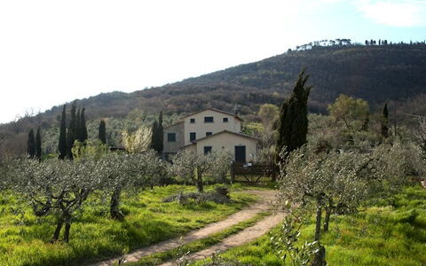 Villa Eleonora: Bergdorp, Natuurlijk Landschap, Eigendom, Heuvel Station, Landelijk Gebied, Heuvel, Boom, De Lente, Hoogland, Berg