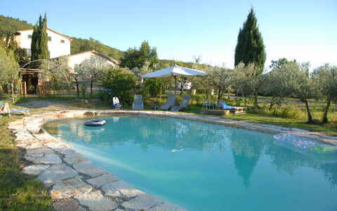 Villa Eleonora: Zwembad, Eigendom, Onroerend Goed, Vrije Tijd, Landgoed, Water, Toevlucht, Huis, Vakantie, Boom