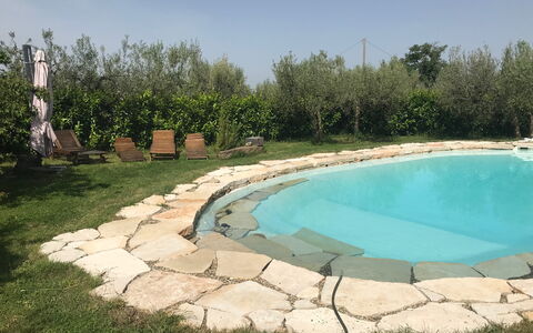 Villa Eleonora: Zwembad, Flagstone, Backyard, Landscaping, Werf, Waterpartij, Toevlucht, Buitenmeubels