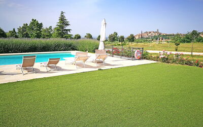 Swimming pool and garden