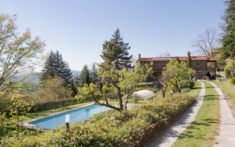 Villa Magnolia: 