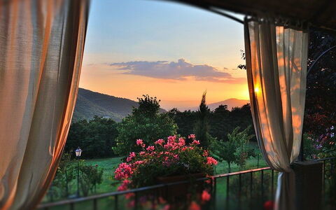 Villa Rosmarino: Lucht, Zonsopkomst, Ochtend, Venster, Zonsondergang, Boom, Avond, Zonlicht, Kamer, Landschap