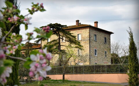 Villa Il Palazzo: Bloem, Fabriek, Lucht, Wolk, Gebouw, Venster, Huis, Petal, Gras, Muur