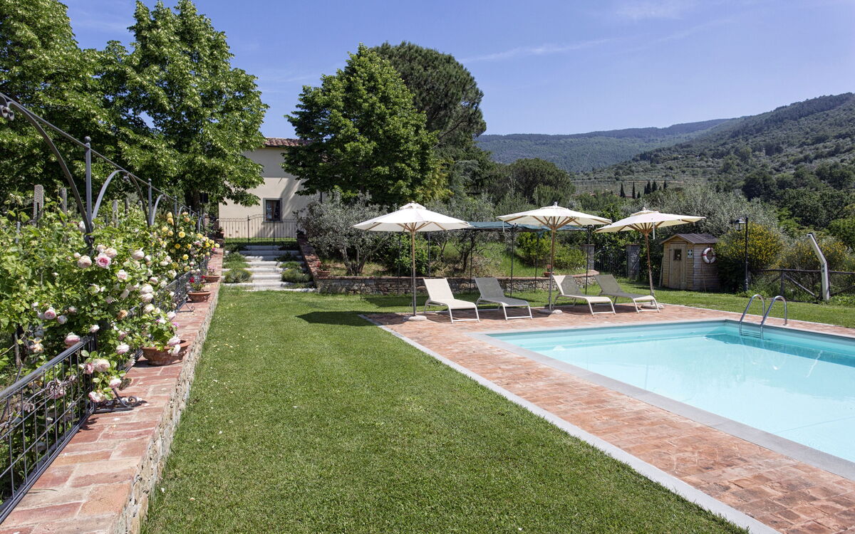 Swimming pool and garden