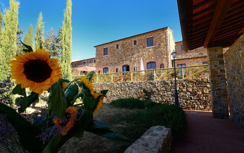 Borgo Casa Di Lappi: Zonnebloem, Bloem, Blauw, Zonnebloem, Geel, Lucht, Fabriek, Architectuur, Gebouw, Landschap