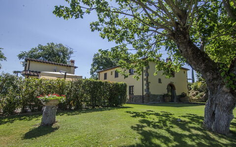 Villa Del Monte: Eigendom, Boom, Huis, Onroerend Goed, Huis, Gras, Gebouw, Landgoed, Woody Plant, Architectuur