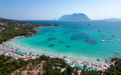 Dalila: Water, Lucht, Fabriek, Azure, Natuurlijk Landschap, Strand, Boom, Kust En Oceanic Landvormen, Aqua