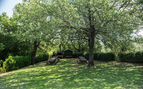 Agriturismo la Papessa: Fabriek, Groen, Blad, Afdeling, Natuurlijk Landschap, Lucht, Boom, Vegetation, Land Lot, Schaduw