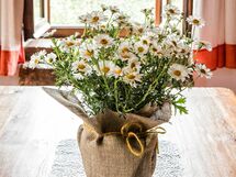 Accommodatie:&nbsp;Casa Vecchia