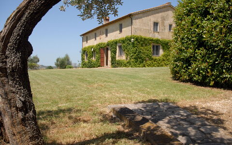 Podere San Giovanni: Lucht, Fabriek, Eigendom, Gebouw, Venster, Natuurlijk Landschap, Schaduw, Boom, Land Lot, Zonlicht