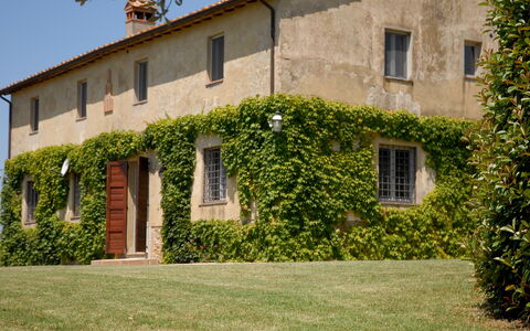 Podere San Giovanni: Fabriek, Gebouw, Venster, Eigendom, Lucht, Vegetation, Land Lot, Gras, Verblijf, Huis