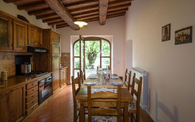 Accommodatie:&nbsp;Castagneto