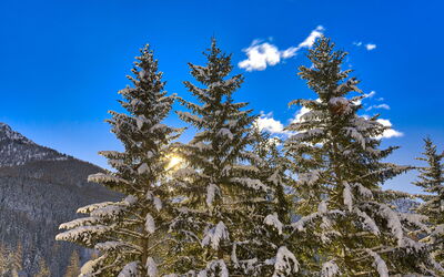 The Twins Apartment - Champoluc