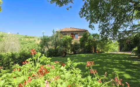 Villa Gioiosa: Groen, Struik, Zomer, Huis, Landelijk Gebied, Grasland, Land Lot, Tuin, Weide