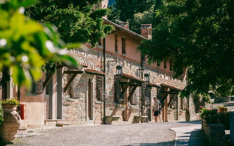 Fattoria Fronzano: Lucht, Eigendom, Fabriek, Gebouw, Azure, Weg Oppervlak, Boom, Schaduw, Berg, Landelijk Gebied