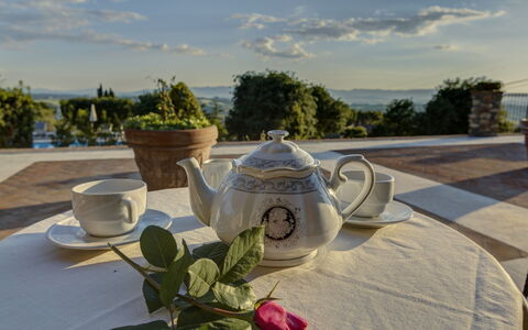 Villa Di Cinzia: Theepot, Tableware, Boom, Vakantie, Kamer, Tafel, Huis, Fabriek, Fotografie, Drinkware