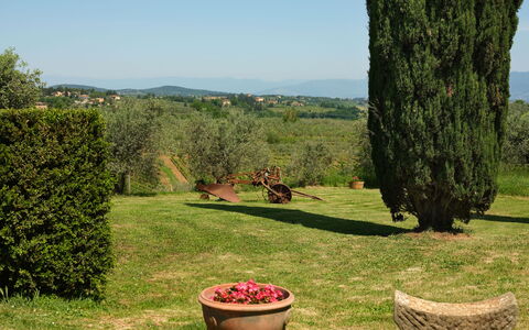 Pozzo Dei Desideri: Fabriek, Lucht, Bloem, Plantengemeenschap, Bloempot, Groen, Natuur, Plantkunde, Natuurlijk Landschap, Boom