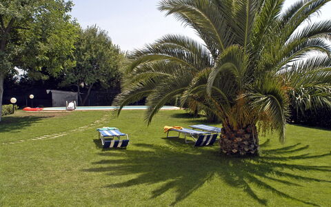 Poderino: Gras, Boom, Gazon, Palmboom, Voertuig, Arecales, Auto, Woody Plant, Fabriek, Elaeis