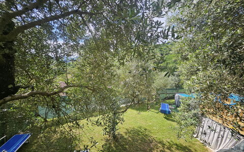 Alla Piazzetta Proprietà: Blauw, Tuin, Schaduw, Backyard