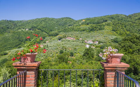 Villa Roncovisi: Vegetation, Eigendom, Boom, Natuurgebied, Blad, Plantkunde, Tuin, Heuvel, Onroerend Goed, Huis