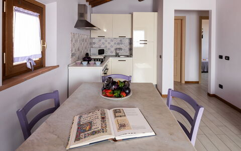 Accommodatie:&nbsp;Viola