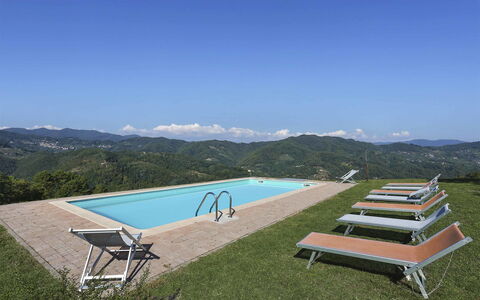 La Castagnara: Eigendom, Zwembad, Huis, Meubilair, Ligstoel, Tafel, Landgoed, Onroerend Goed, Villa, Land Lot