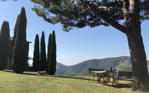 Compignano Barn: Boom, Lucht, Gras, Fabriek, Landschap, Nationaal Park,  Felsen\, Toerisme, Berg, Heuvel