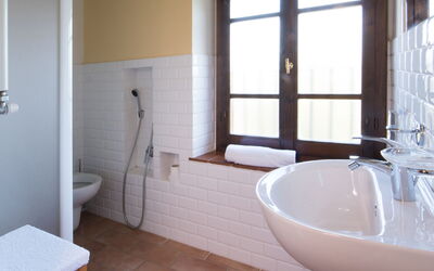 Accommodatie:&nbsp;Camera Junior 203a