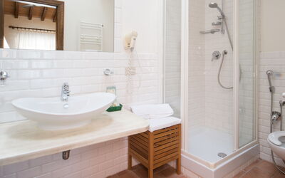 Accommodatie:&nbsp;Camera Junior 203b