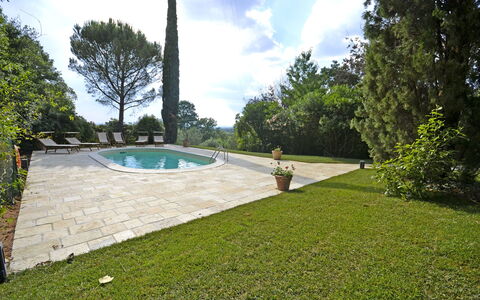 Villa Del Castagno: Eigendom, Gras, Landgoed, Onroerend Goed, Gazon, Huis, Boom, Zwembad, Werf, Land Lot