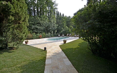 Villa Del Castagno: Gras, Eigendom, Gazon, Tuin, Werf, Backyard, Landscaping, Struik, Landschap, Boom
