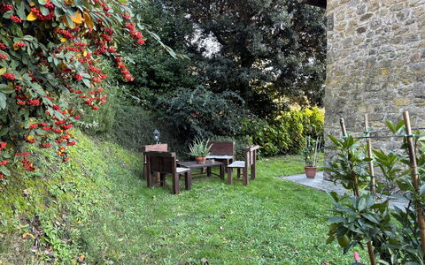 Batticapo di Ilaria: Fabriek, Plantengemeenschap, Blad, Bloem, Natuurlijk Landschap, Gras, Boom, Biome, Struik, Groundcover