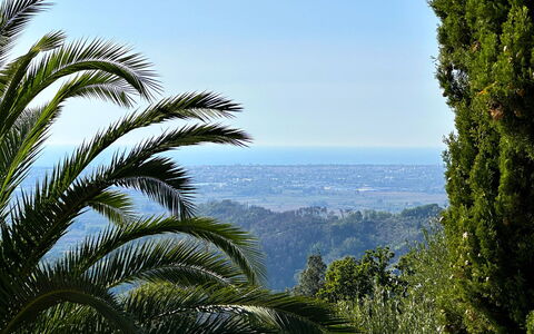 Borgo Bucatra Buonvento: Lucht, Natuurlijk Landschap, Plantendiversiteit, Vegetation, Arecales, Boom, Landschap, Fabriek, Palmboom, Woud