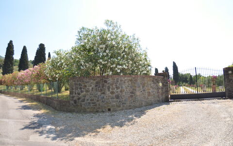 Villa Il Borghetto: Muur, Boom, Land Lot, Fotografie, Stenen Muur, Geschiedenis, Landschap, Historische Site, Toerisme, Gebouw