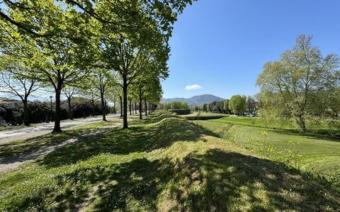 Alle Mura: Groen, Gras, Natuur, Natuurlijk Landschap, Vegetation, Grasland, Heuvel, Plain, Landschap, Land Lot